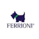 Ferrioni